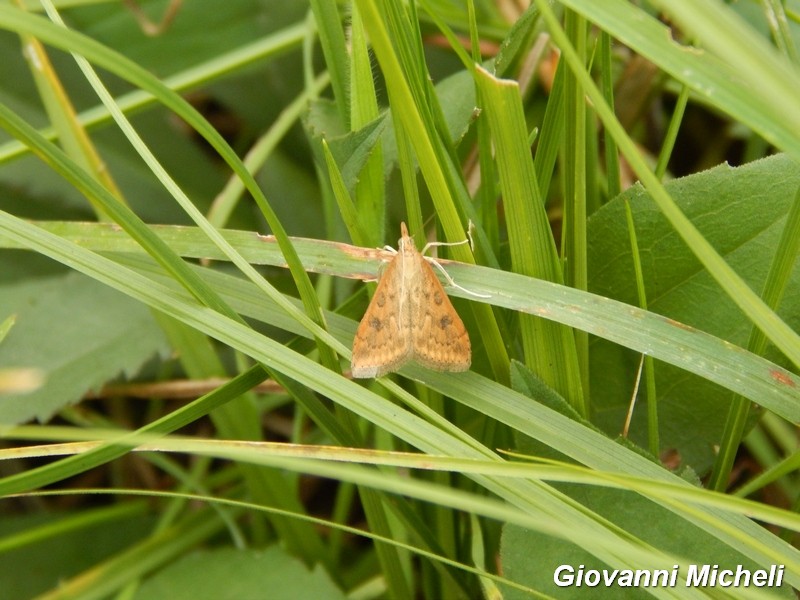 Parco del Ticino 17-10-15